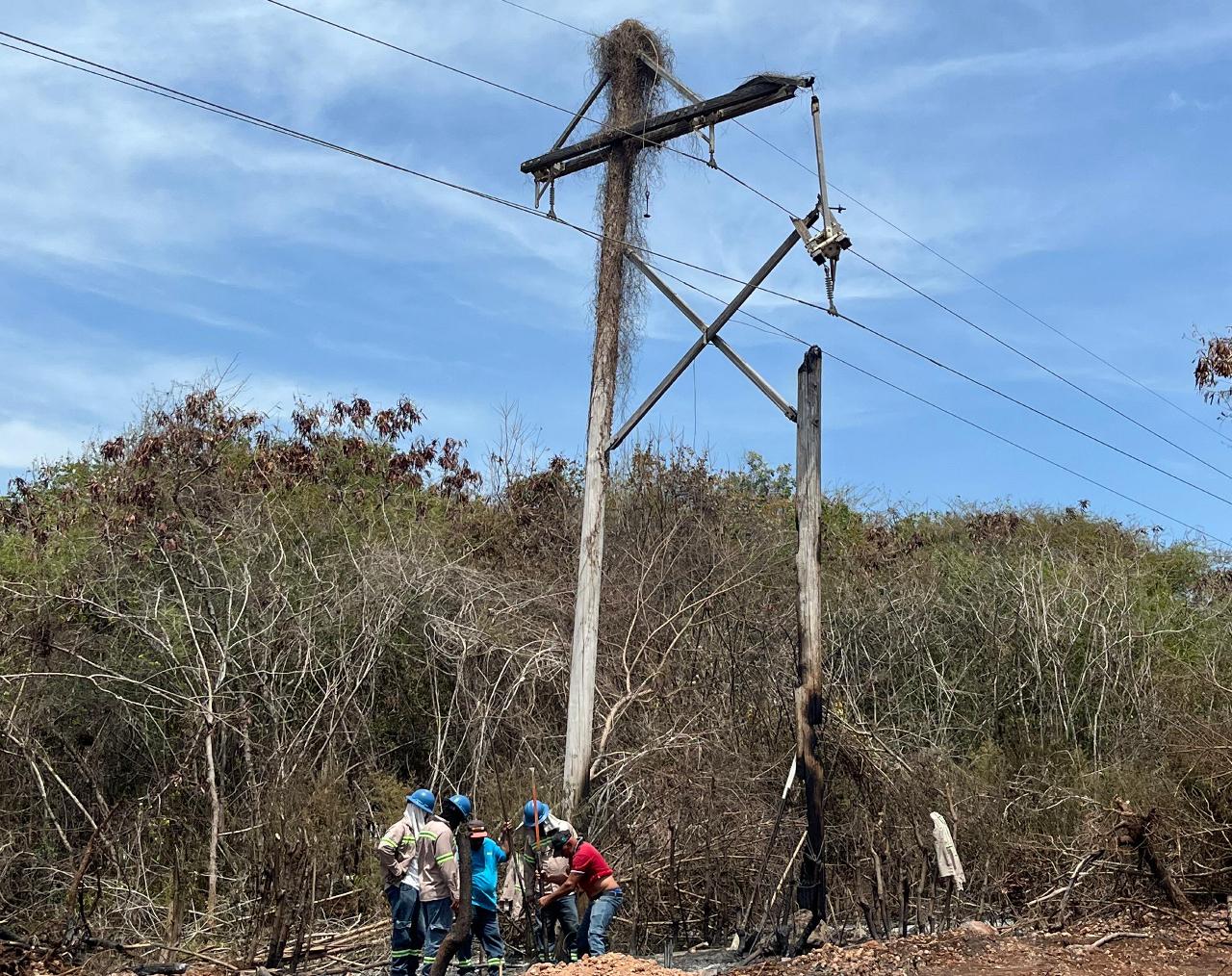 Edesur informa que incendio afecta estructura de redes eléctricas y deja sin servicio a comunidades de Barahona