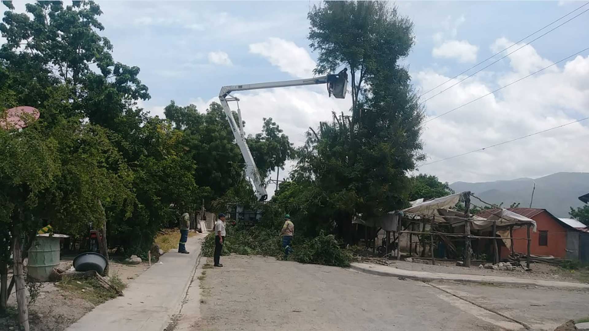 Edesur sustituye postes en la comunidad Las Guanábanas de Azua