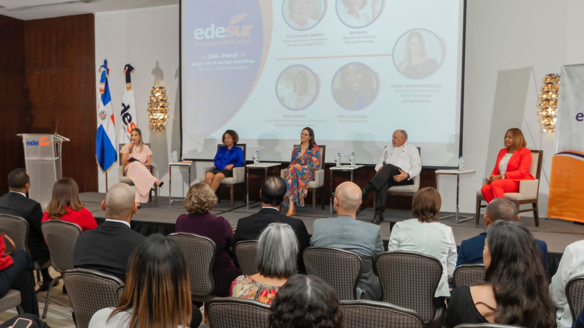 Edesur realiza segundo panel sobre la participación de la mujer en el sector eléctrico