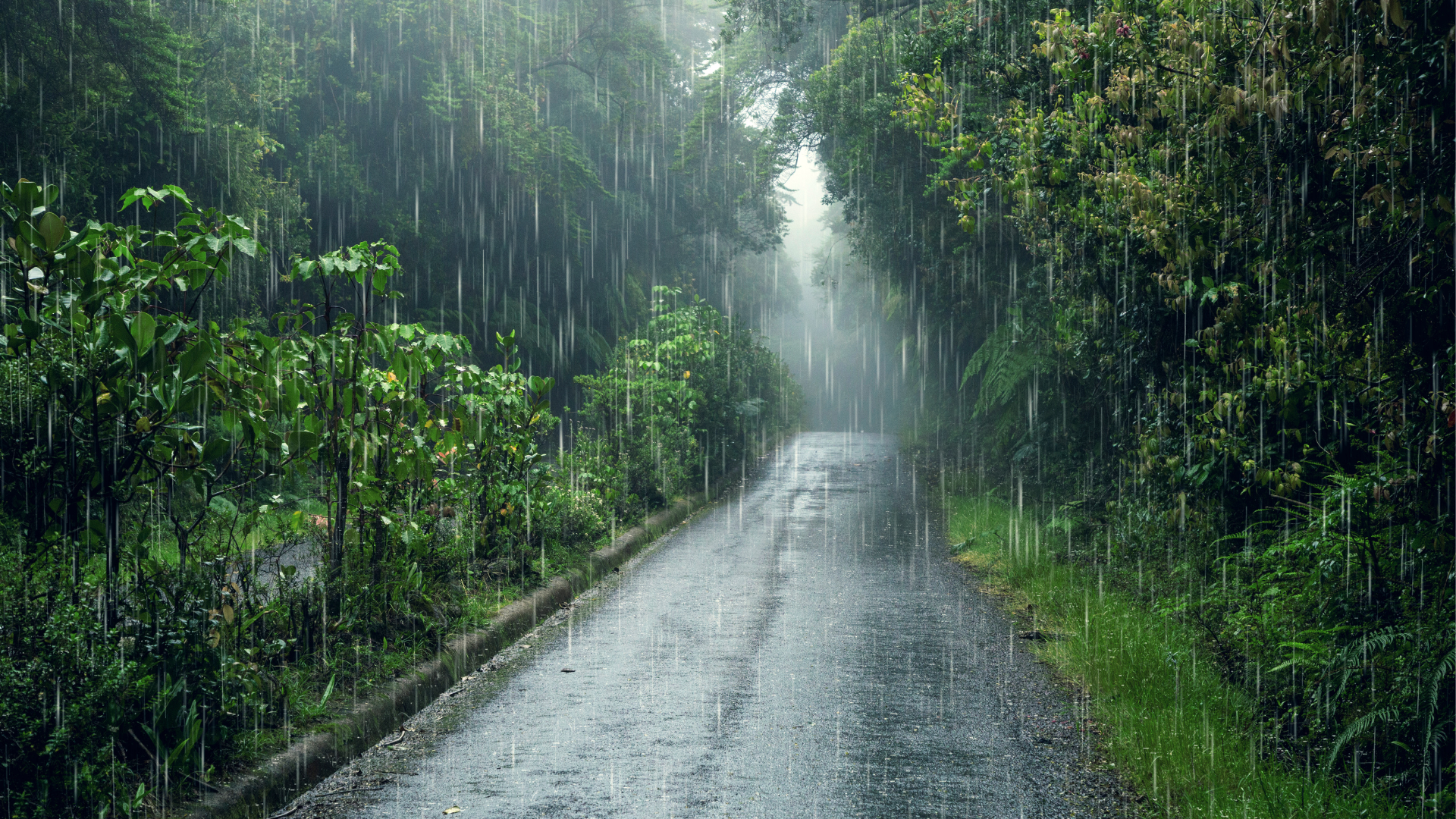 Precauciones eléctricas en temporada de lluvias