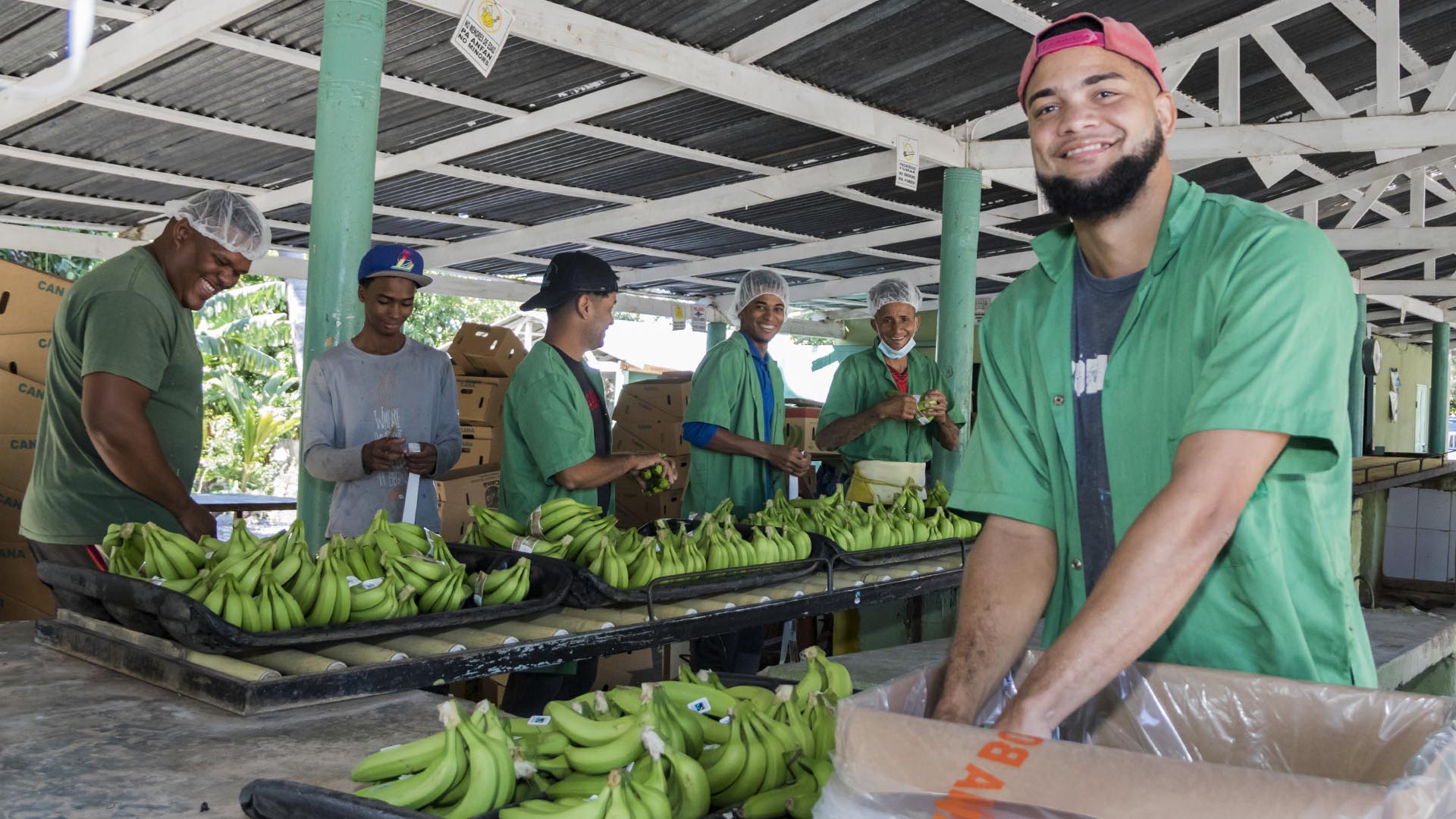 Edesur interconecta más de 300 exportadores de banano orgánico en Azua, que llevaban 20 años usando plantas eléctricas