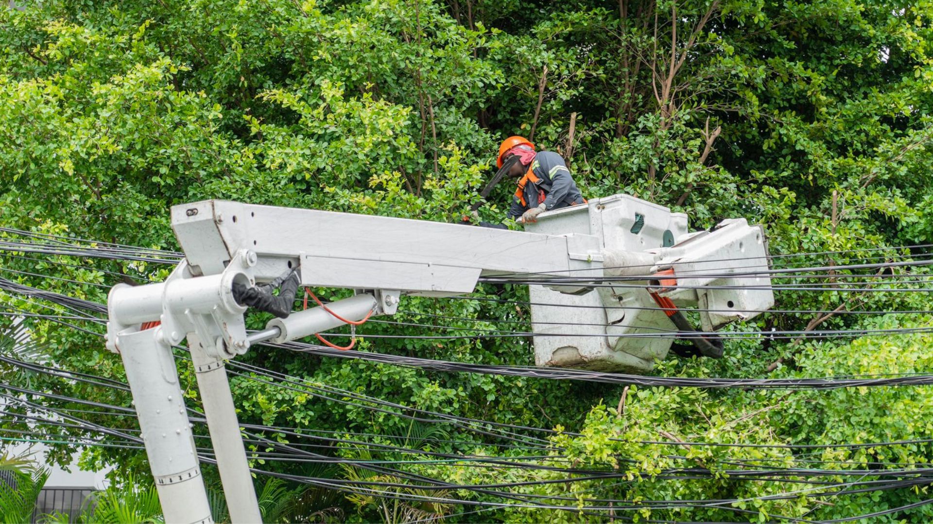 Edesur refuerza medidas en 19 circuitos eléctricos de Barahona, Pedernales, Neiba y Jimaní por huracán Beryl
