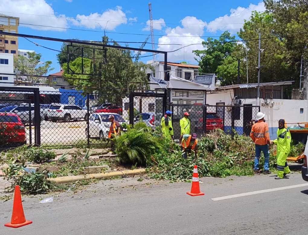 Edesur realiza un amplio operativo de poda y retiro de restos de árboles en colaboración con el Ayuntamiento del Distrito Nacional